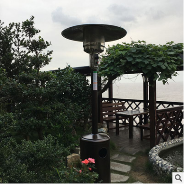 Umbrella gas heater liquefied gas heater outdoor energy saving home gas gas heater indoor bar details Picture