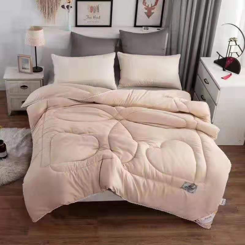 Silk winter quilt, 2 meters, 200*230cm, lace special offer, plain double quilt core, weight 5.5-6 pounds