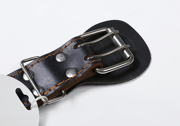 宠物项圈实物图