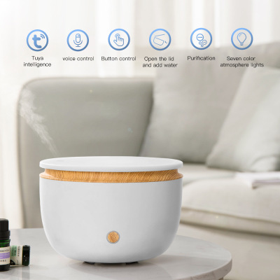 Cross-border hot selling creative humidifier Home ultrasonic humidifier aromaiser simple anion atomizer Application Scenario