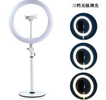 The new 10 "ring tint light anchor mobile phone live beauty makeup photography tint light