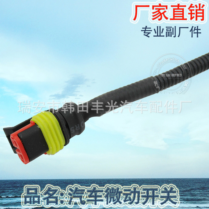 汽车微动开关/汽车开关/微动开关产品图