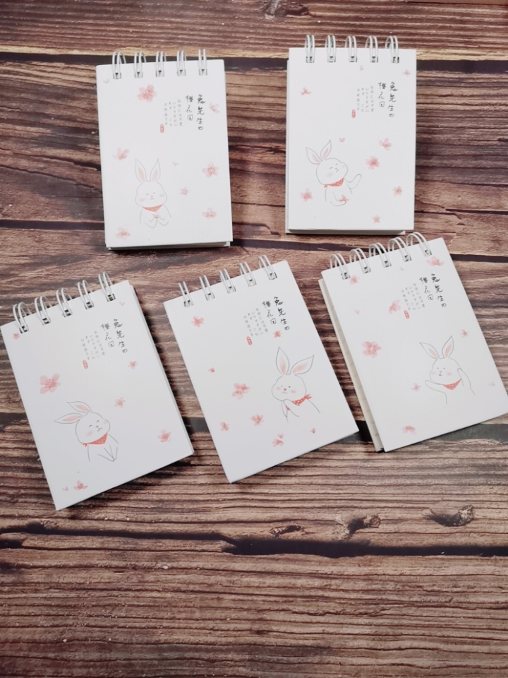 Note Book 520 Mr. Rabbit Cherry Blossom Garden up 116 sheets of small coil book hard shell notepad