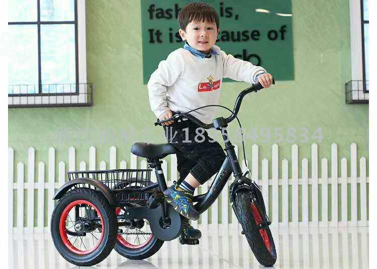 Tricycle electric car go-kart scooter bicycle twister walker Application Scenario