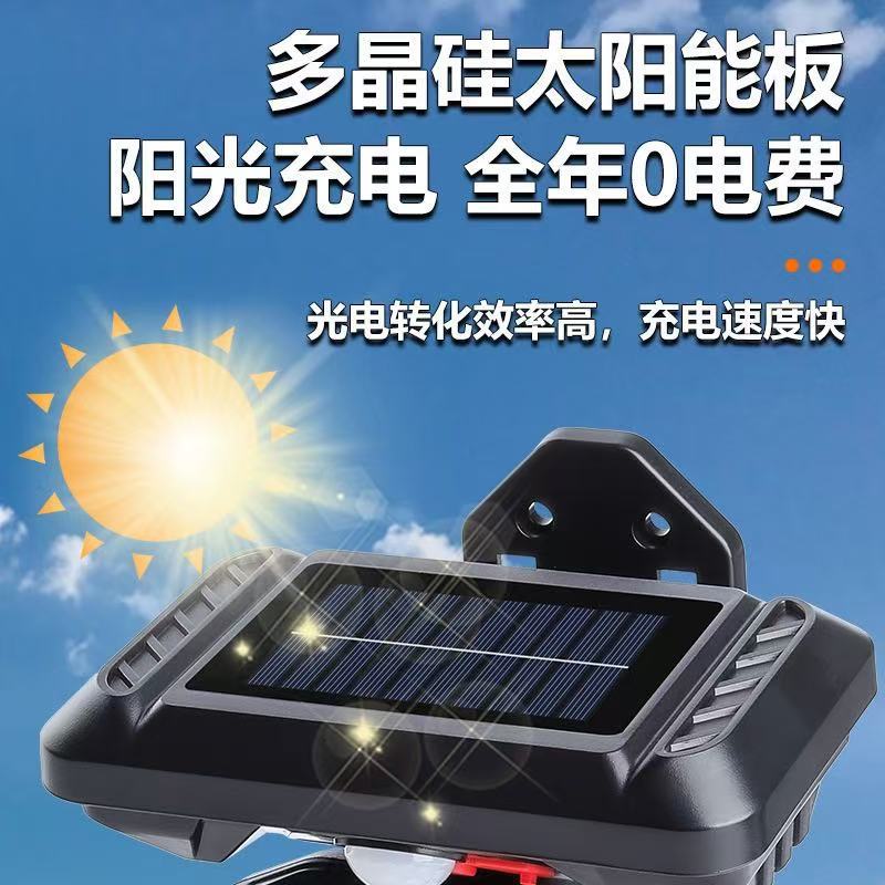 壁灯/太阳能壁灯/LED壁灯/火炬/BK260-8细节图