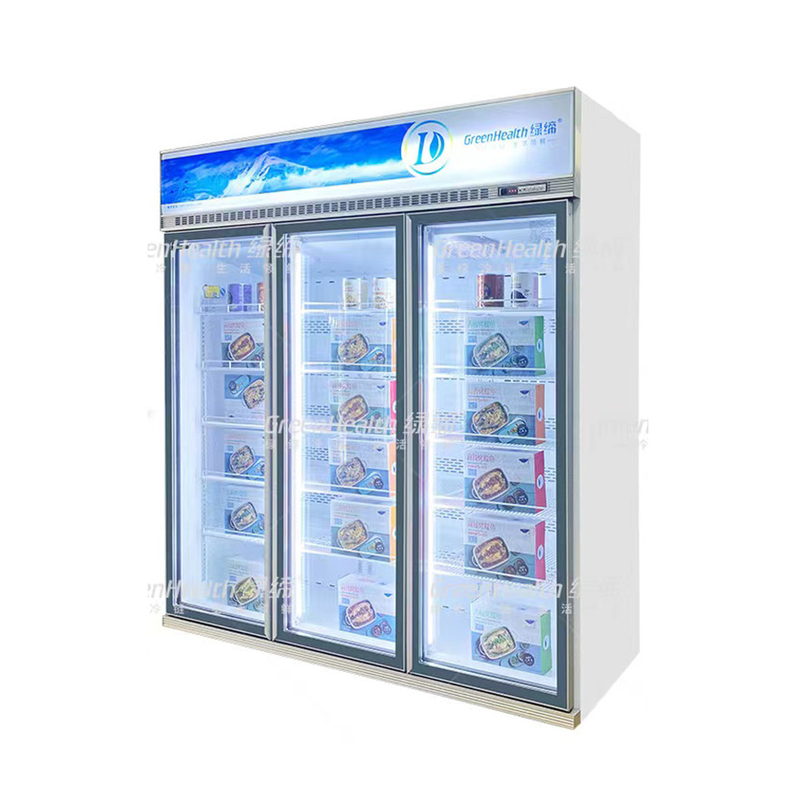 商用节能2门3门玻璃展示冻品GlassDoorFreezer立式冷冻柜