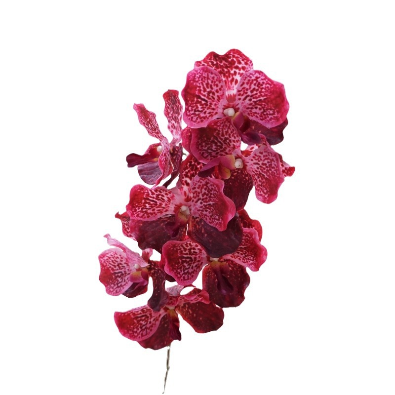 高品质仿真花手感万代兰婚庆家居装饰花软装插花胡姬兰胸花手捧花白底实物图