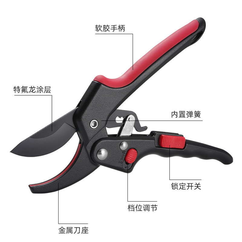 Fruit tree pruning, thick branch pruning, garden scissors, flower art and flower branch scissors, pruning, garden tools, flower pruning details Picture
