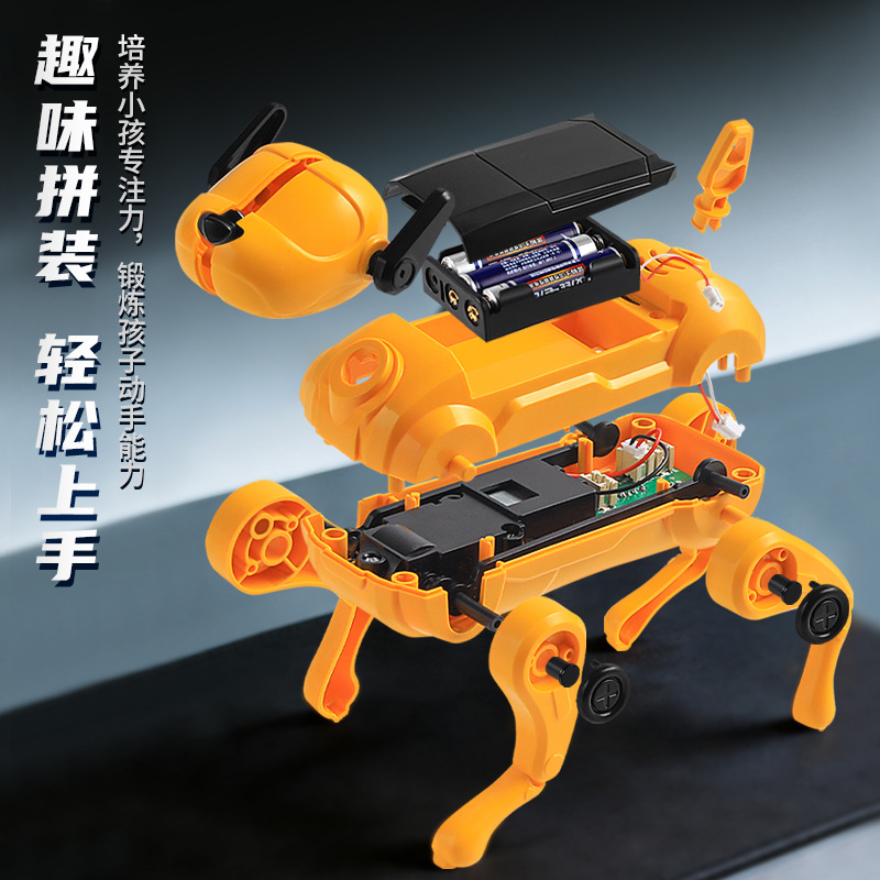 机器人模型实物图