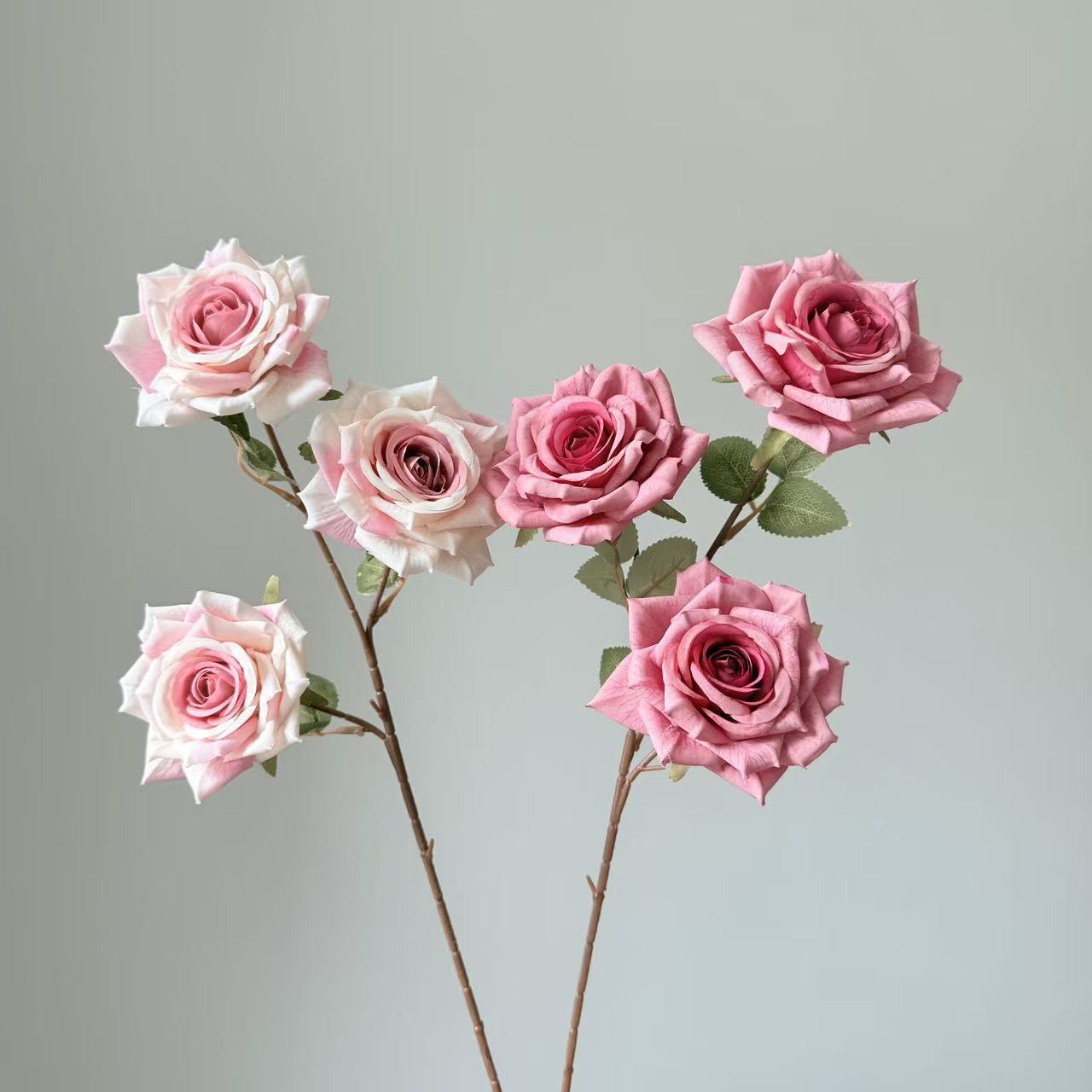 仿真水生植物实物图