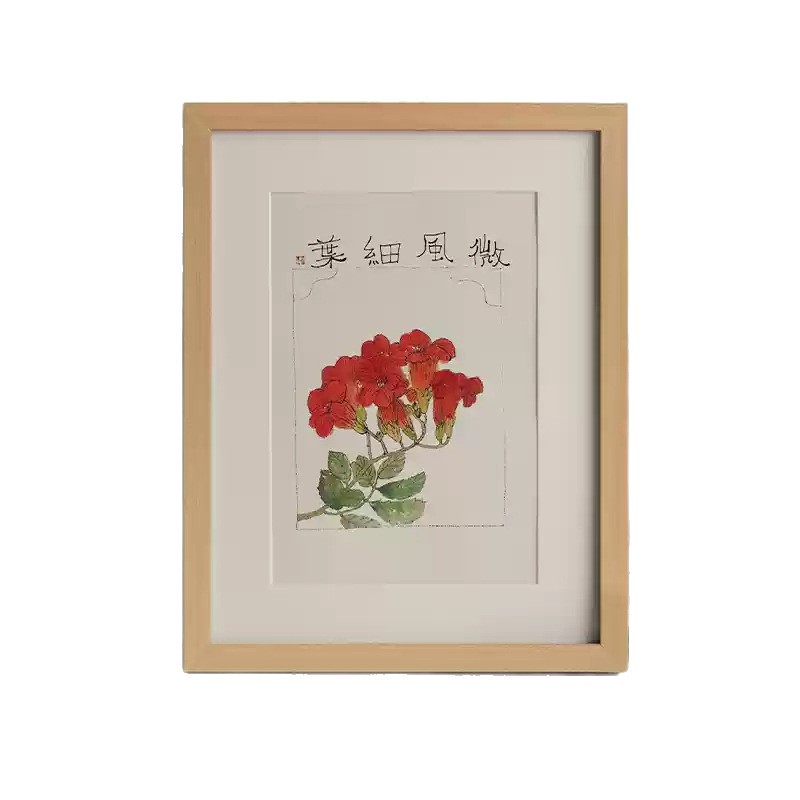 import白底实物图