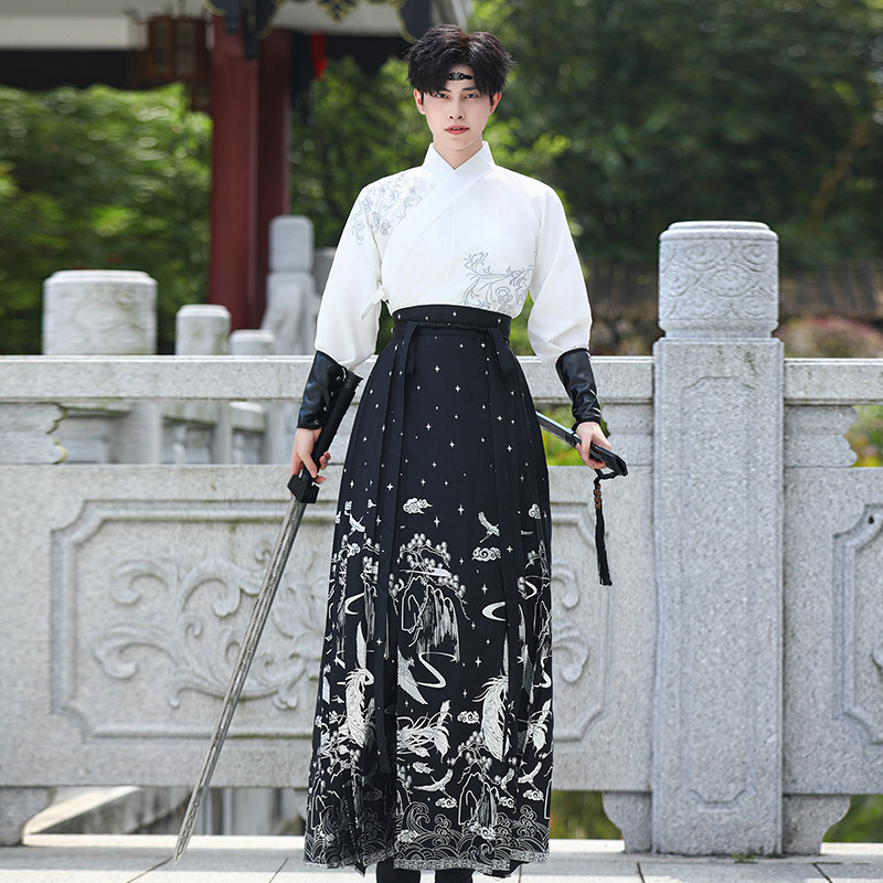 New Chinese-style men's Chinese-style embroidered cross-neck top, silver embossed horse face skirt, Hanfu, ancient style martial arts style couple's set Specification image