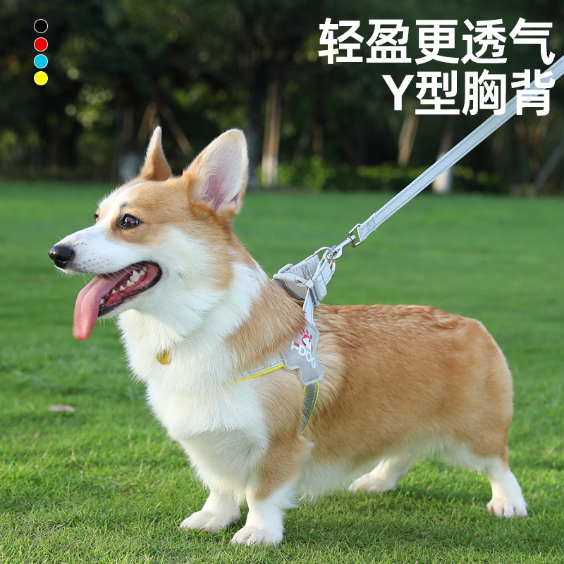 Y形轻量化狗用牵引背带舒适透气防脱设计产品图