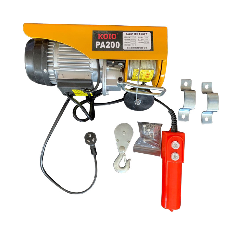 Micro electric hoist PA1000 12-meter wire rope household small crane household electric hoist 220V factory direct sales Item Picture