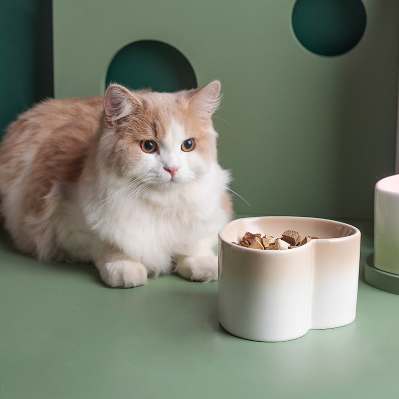 Pet supplies: Cat-specific feeding bowls, pet food basins, pet water dispensers, pet feeding supplies, pet bowls, pet feeders, pet water dispensers, pet feeding basins, pet feeding utensils, pet water dispensers