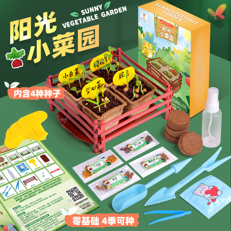 阳光小菜园木头科学实验套装DIY龙舟种植科技小制作实验玩具