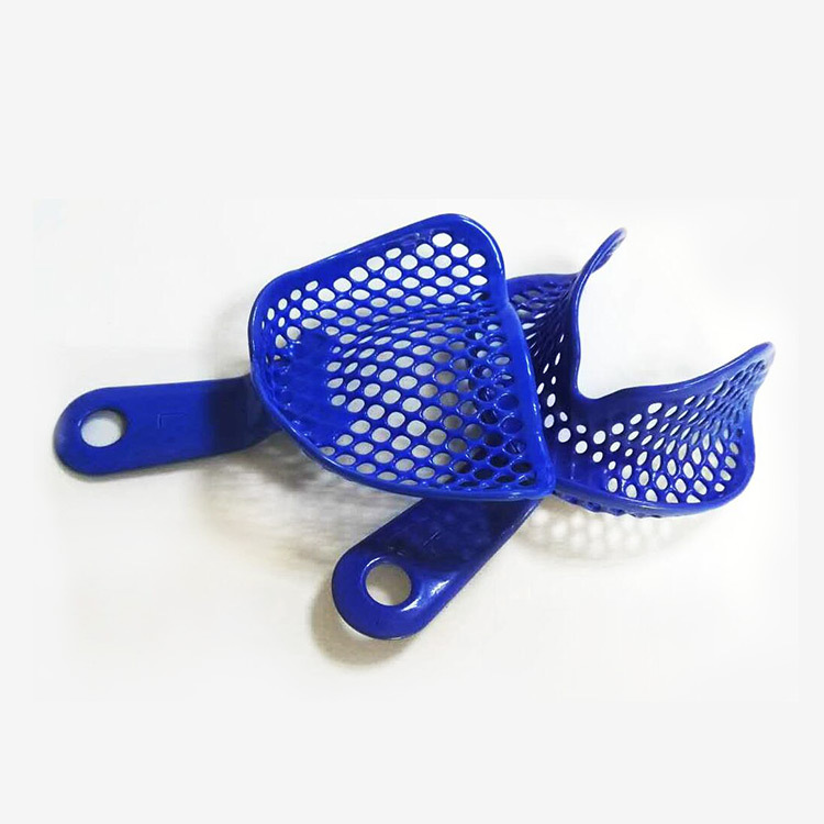 Cross-border exclusive dental disposable dental tray steel mesh tray, multi-specification plastic steel dental tray metal mesh tray model tray details Picture