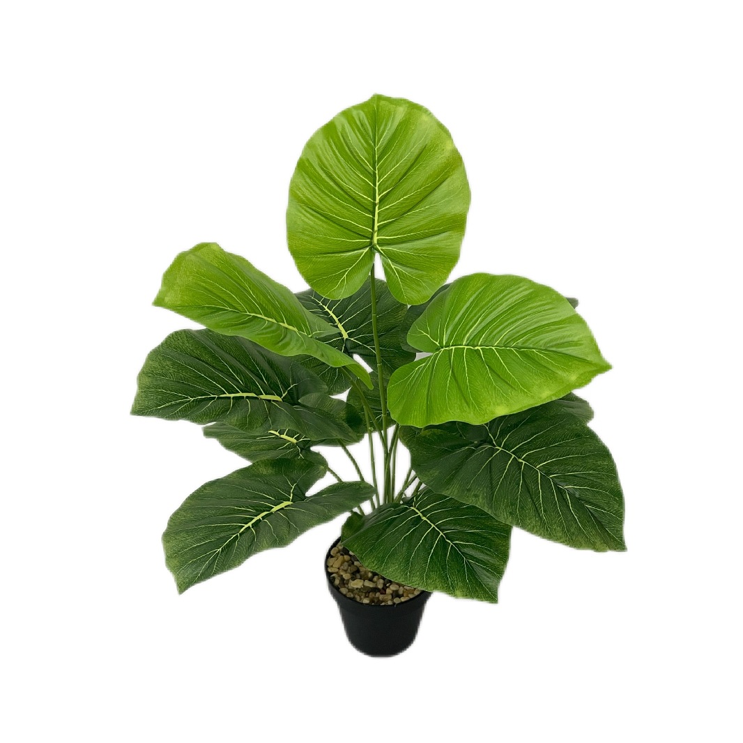 仿真绿植盆栽PVC滴水观音带条纹大号落地室内外假树道具装扮户外