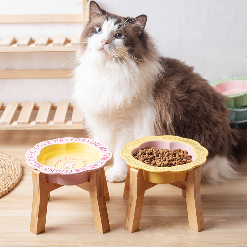 Smart pet supplies, cat bowls, automatic pet feeders, cat food utensils, pet supplies, large capacity, durable and spillproof Specification image
