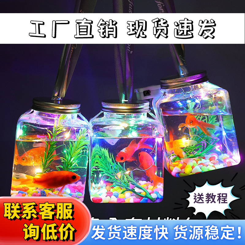 网红夜市摆摊罐罐鱼材料瓶装手工观赏鱼带灯鱼缸小夜光小玩具地推