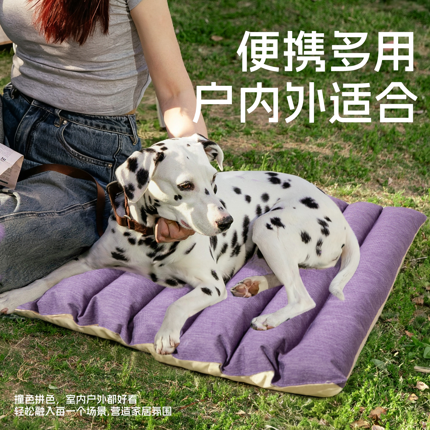 Pet Four Seasons sleep mat sin pelo gato perrera resistente a los rasguños y mordeduras invierno aislamiento del perro mat plegable con almohadilla details Picture