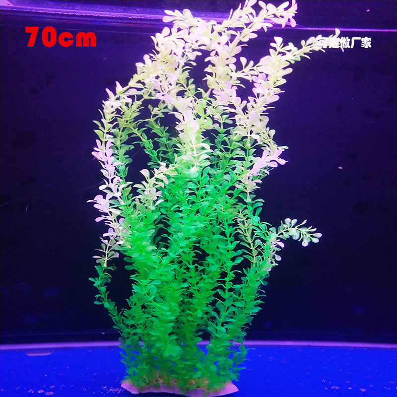 Fish tank landscape decoration water plant simulation water plant 70cm fish tank set lengthened Item Picture