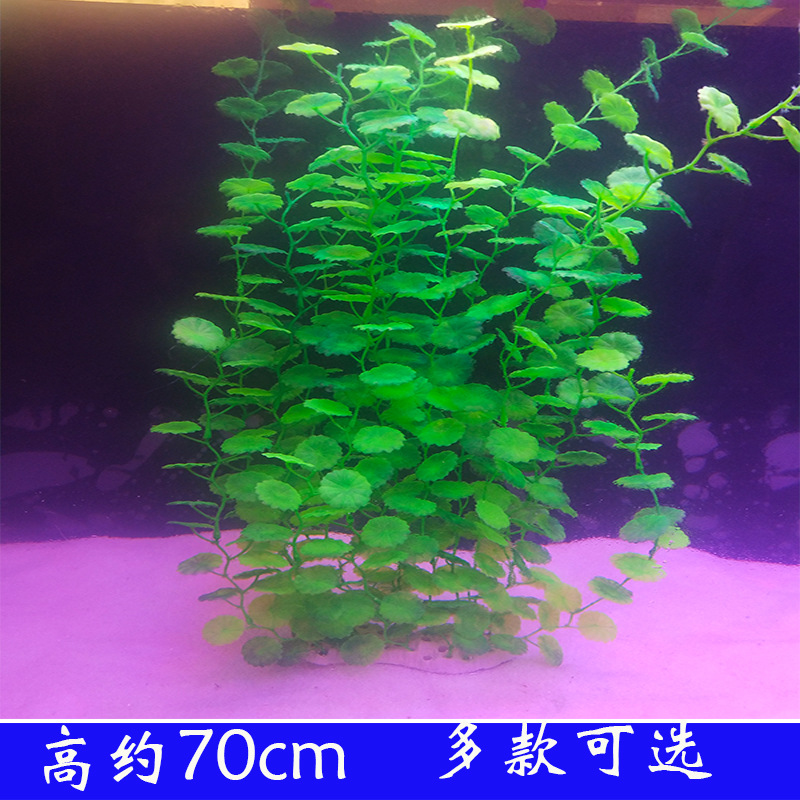 Fish tank landscape decoration water plant simulation water plant 70cm fish tank set lengthened Application Scenario