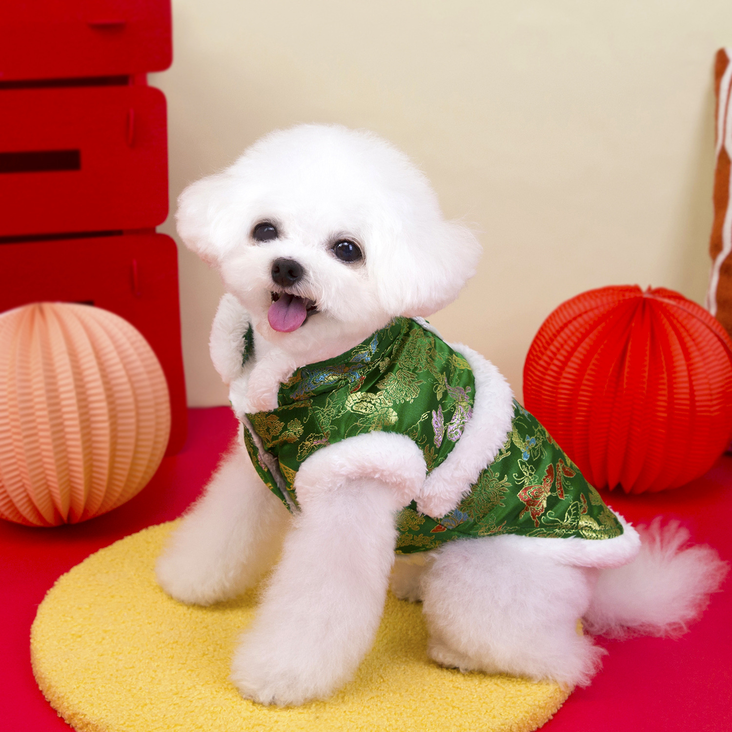 Pet clothing, dog clothes, autumn and winter festive outfits, new pet New Year clothing, 25 brocade checkered cotton-padded jacket Application Scenario