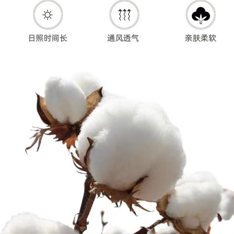 板式小家具/茶台/茶桌/功夫茶茶桌/铁艺茶几产品图