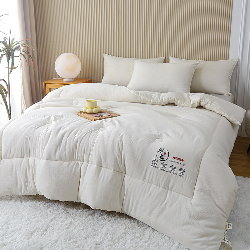 A类大豆被子被芯加厚春秋被大豆纤维被芯冬天被礼品棉大豆子母被