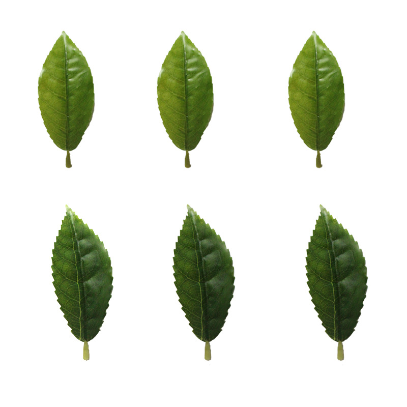 仿真红花油茶叶绿植单片毛尖茶叶绿茶大白茶红茶园林装饰摆设批发