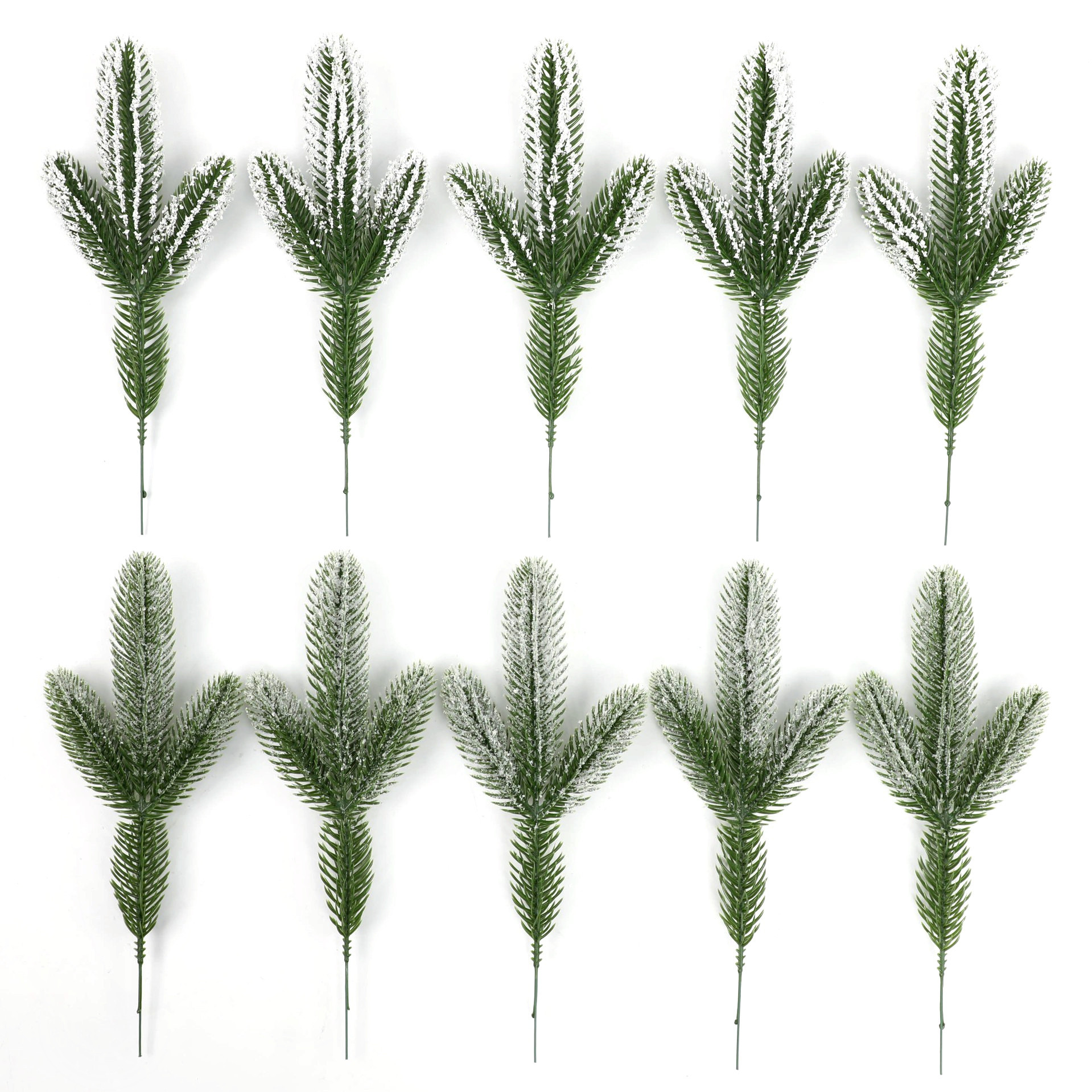 仿真蕨类实物图