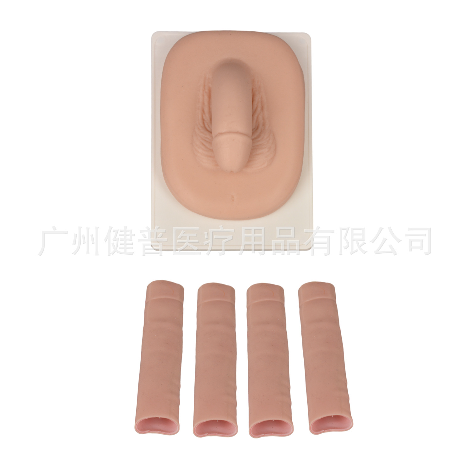 Medical teaching, surgical intern, circumcision practice, circumcision model simulation, circumcision model details Picture