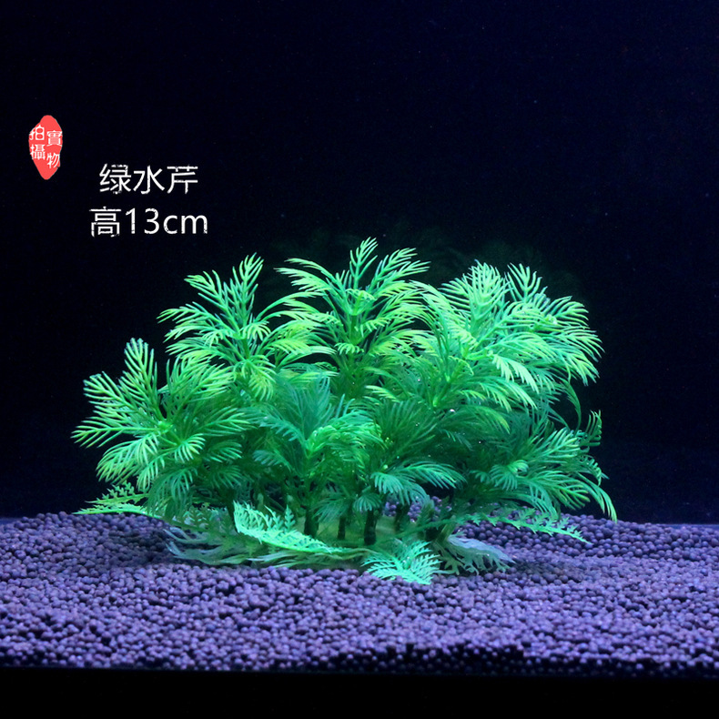 仿真植物实物图