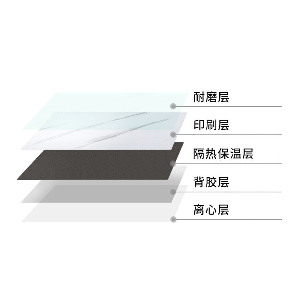 狗弹力球细节图