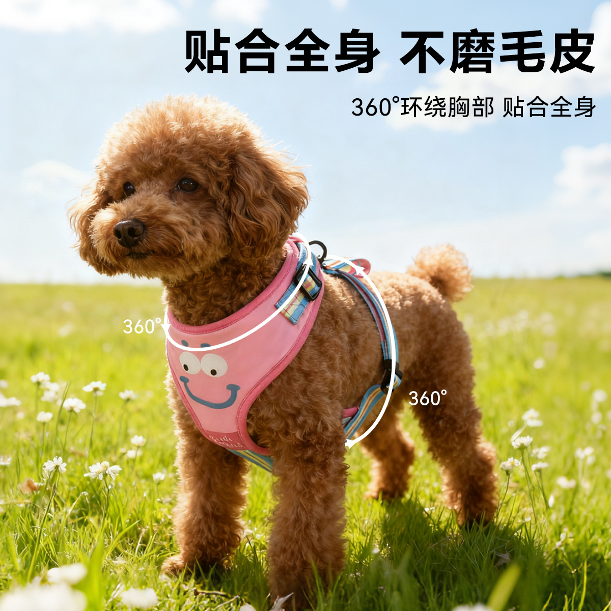 宠物围巾实物图