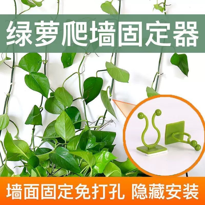 The magic tool for climbing the green vine, the wall climbing green vine fixator, the green plant climbing clip, the wall traceless hook, and the climbing vine stick