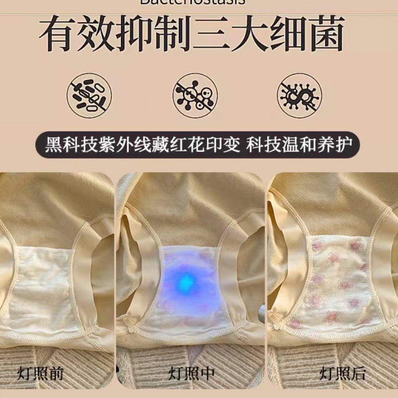 女士三角裤实物图