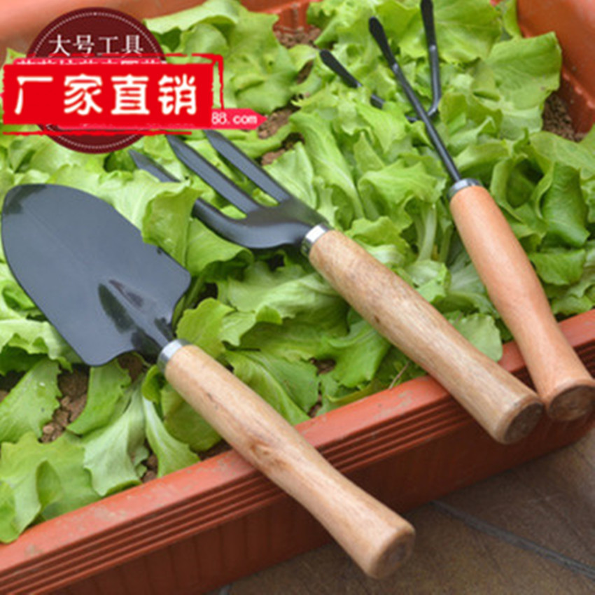 大号园艺工具三件套装园林阳台种菜花盆养花铲子耙子三齿叉铁质产品图