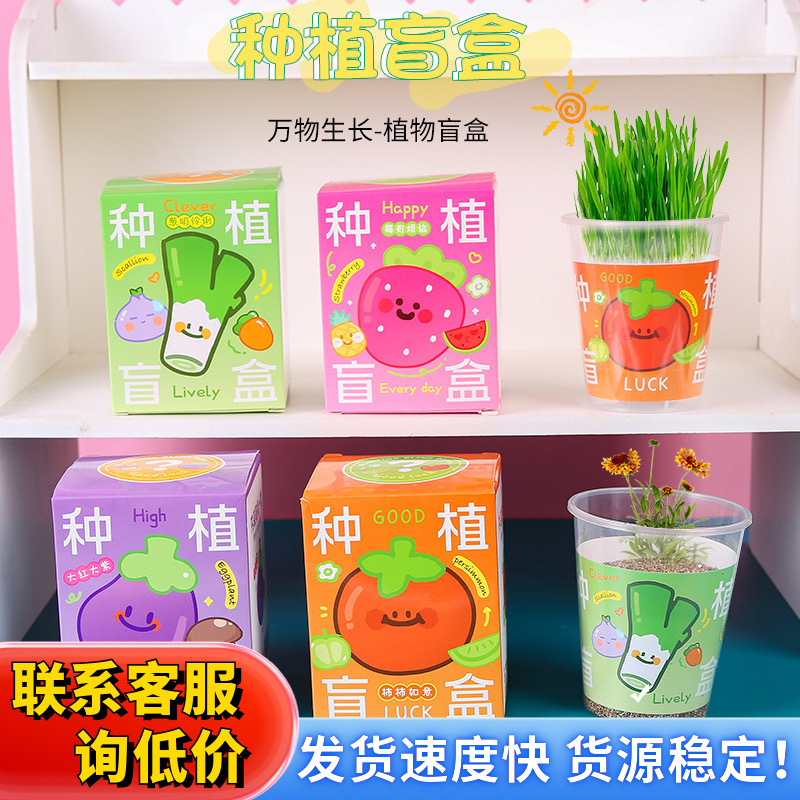 Planting blind box potted plants, children's back-to-school class reward gifts, student prizes, office desk green plants, little oxygen bar