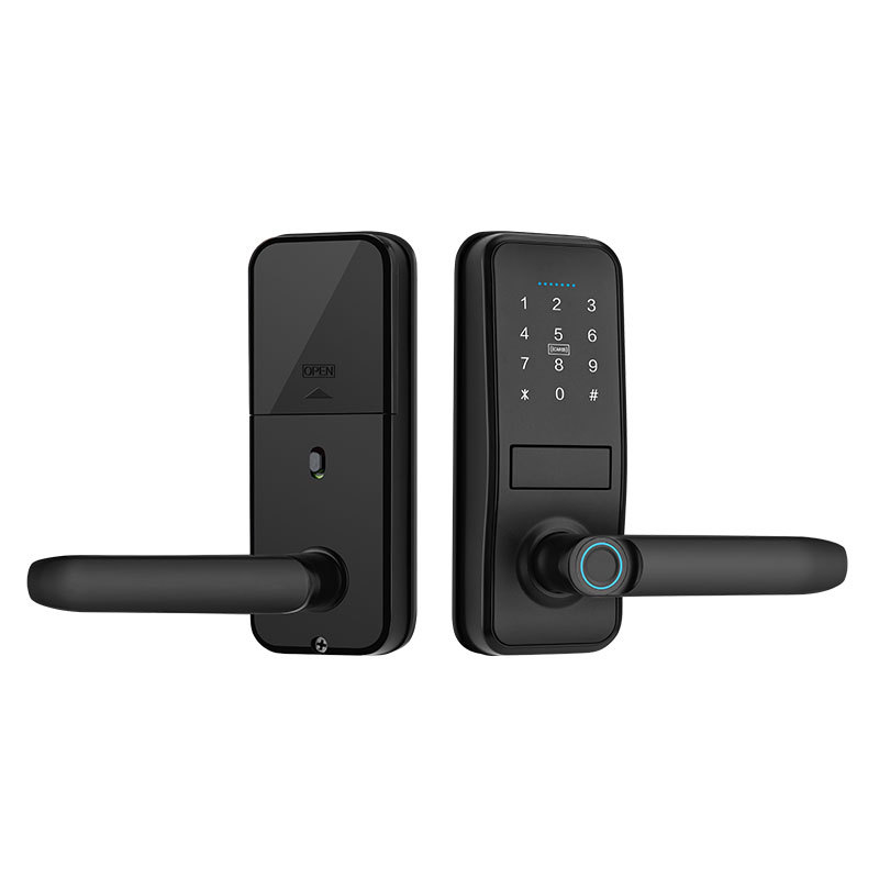 Black fingerprint smart lock with digital keyboard, circular sensing ring and door handle Item Picture
