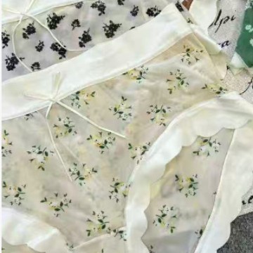 Romantic floral print sexy seamless underwear for women, mid-waist ultra-thin ice silk breathable 2025 new triangular women's underwear for export to Africa and Southeast Asia details Picture