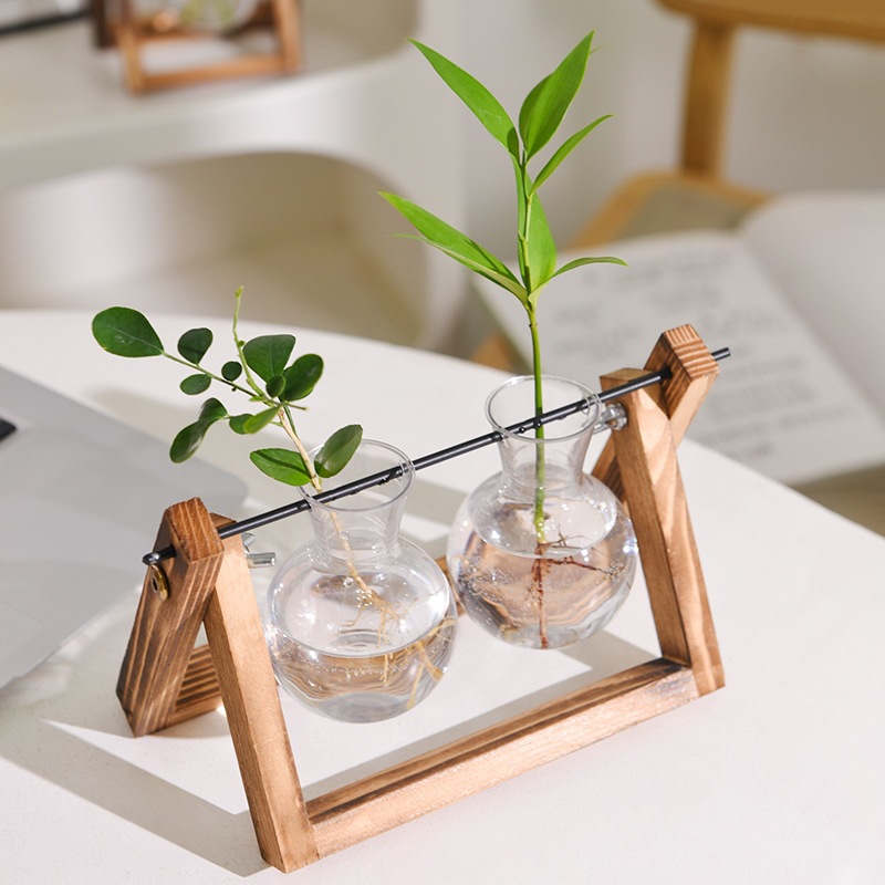 水培/生态瓶/喷水壶/阳台挂盆/无土栽培细节图