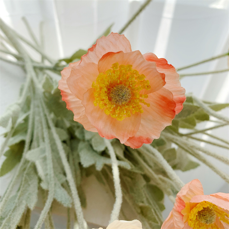 塑料花实物图