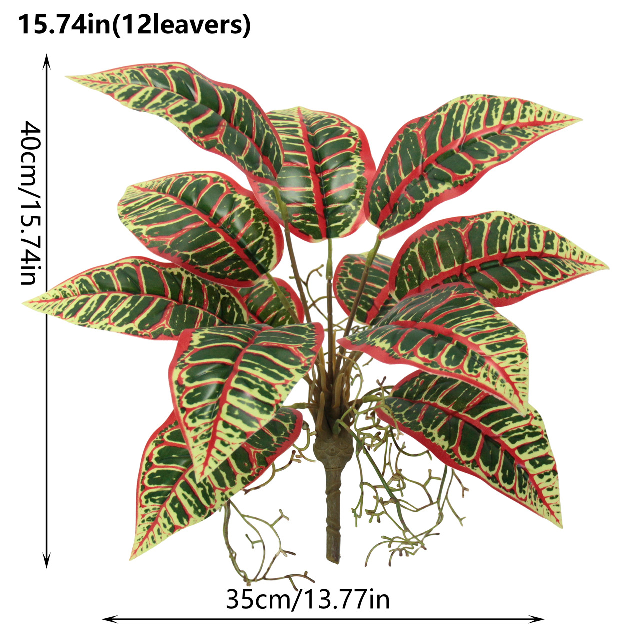 Indoor ornamental small potted plants with green leaves and red edges, succulents, flowers and green plants details Picture