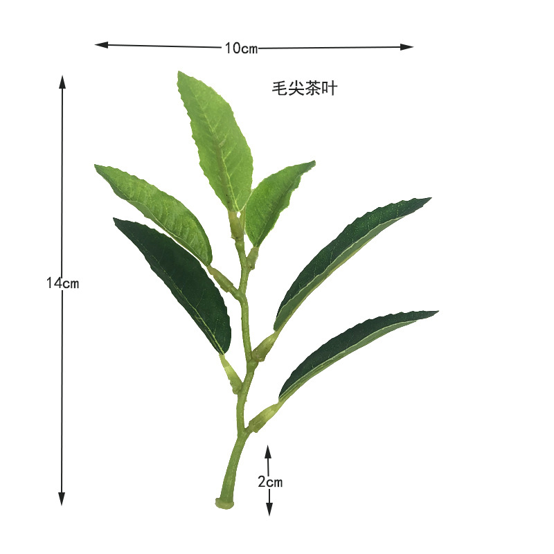 仿真茶叶绿植安吉白茶毛尖茶红绿茶单片称重工程DIY装饰摆设批发白底实物图