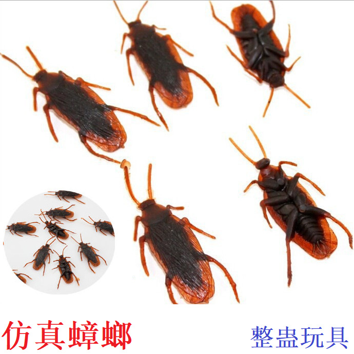 仿真蟑螂 整人 整蛊玩具 吓一跳蟑螂小强 仿真蜈蚣壁虎蝎子批发