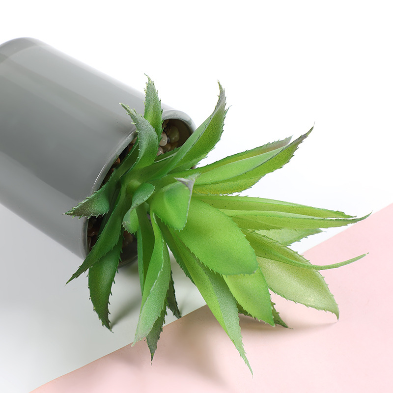 蝴蝶兰/种子/家庭花卉种植用土/仿真花盆景/儿童盆栽产品图