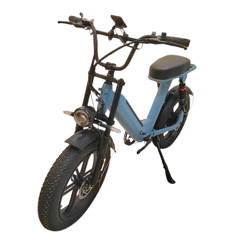 Design electric bicycles to assist mountain bikes, snow folding electric bicycles, and dual-drive electric bicycles Application Scenario