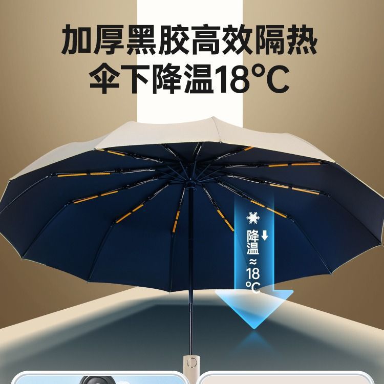 雨伞/三丽鸥雨伞/恒盾雨伞/环扣雨伞/雨伞太阳伞细节图